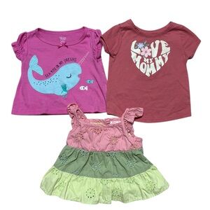 Baby Toddler Girl Tops Bundle | 12M | Carter’s and more